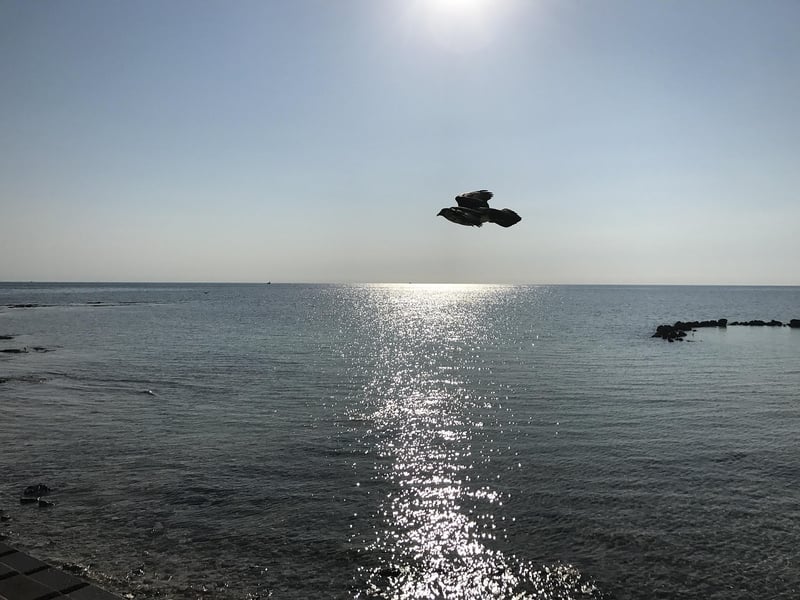 Bermuda Triangle