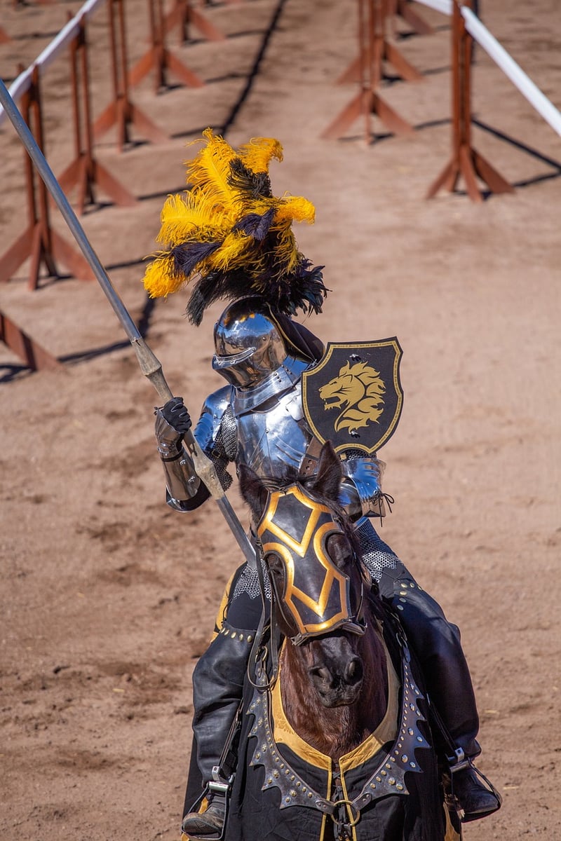 Fantasy Knight Warrior