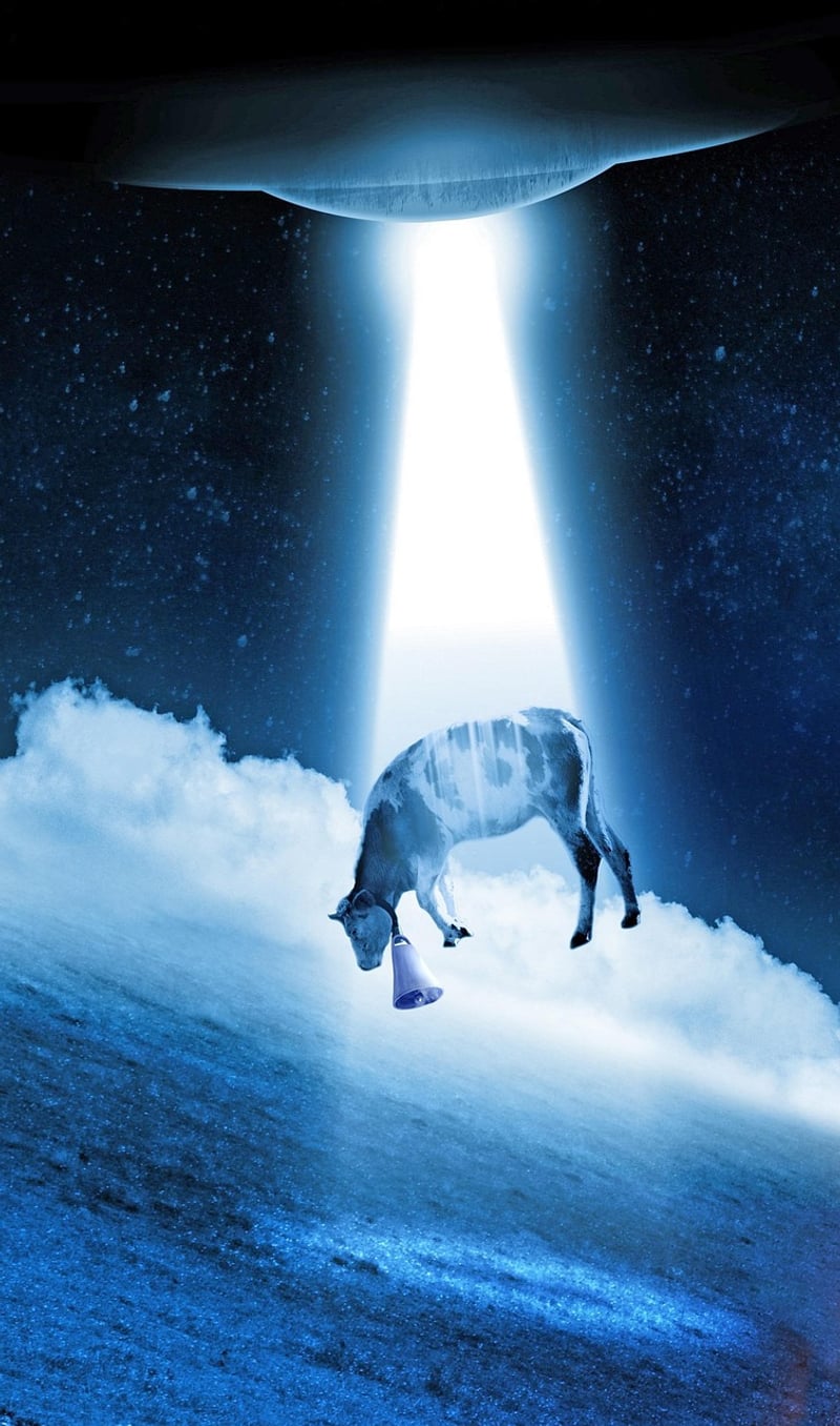 UFO Sighting